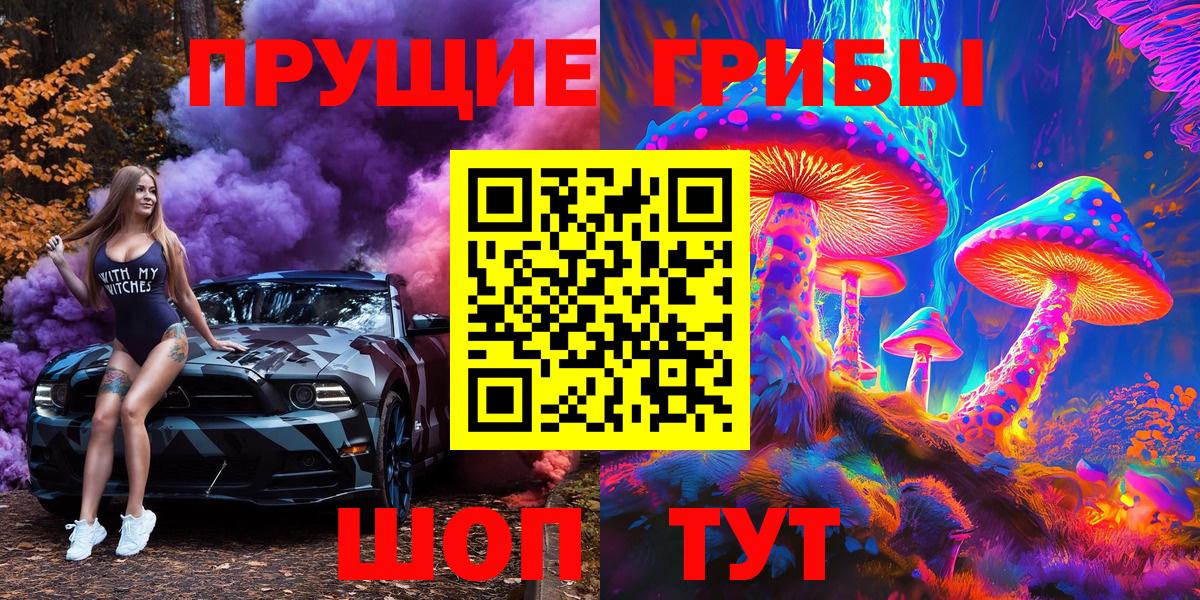 Псилоцибиновые грибы Cubensis  как найти   Вход с VPN  Светлоград  Псилоцибиновые грибы прущие грибы 
